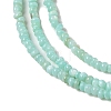 Natural Freshwater Shell Beads Strands SHEL-P017-01A-08-3