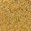 MIYUKI Round Rocailles Beads X-SEED-G009-RR0003-4