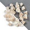 Natural Shell Beads Strands X-SHEL-K009-11-2