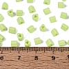FGB Baking Paint Glass Seed Beads SEED-Q040-09A-11-4