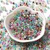 6/0 Transparent Colours Glass Seed Beads SEED-P006-01A-07-2