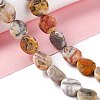 Natural Crazy Lace Agate Beads Strands G-O120-13-2