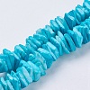 Natural Sea Shell Beads Strands BSHE-K012-08C-1