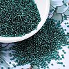 MIYUKI Round Rocailles Beads X-SEED-G007-RR0030-1