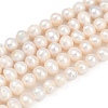 Natural Cultured Freshwater Pearl Beads Strands PEAR-I007-07X-08A-2