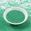 MIYUKI Round Rocailles Beads SEED-X0054-RR0225-2