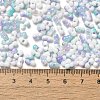 Baking Paint Glass Seed Beads X-SEED-F005-01A-09-4