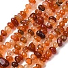 Natural Red Agate Beads Strands G-L655-A01-01B-2