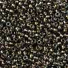 TOHO Round Seed Beads SEED-JPTR08-0999-2