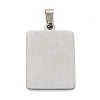 Non-Tarnish 304 Stainless Steel Pendants STAS-K216-48S-P-2