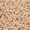 Opaque Colours Glass Seed Beads SEED-S042-09A-03-3