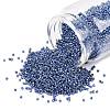 MIYUKI Delica Beads X-SEED-J020-DB2517-1