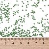 MIYUKI Round Rocailles Beads SEED-G009-RR0431-4
