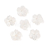 Natural White Shell Beads SSHEL-C012-23A-1