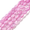 Natural Trochus Shell Beads Strands SHEL-K006-19A-1