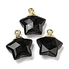 Natural Obsidian Pendants G-P540-01G-11-1