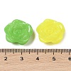 Acrylic Beads OACR-H119-02-3