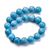 Dyed Natural Magnesite Beads Strands G-P558-A01-01A-3