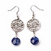 Natural Lapis Lazuli Dangle Earrings EJEW-I225-A01-1