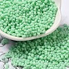 Glass Frosted Seed Beads SEED-K009-05B-05-1