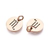 304 Stainless Steel Charms STAS-Q201-T445-8R-2