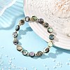 Natural Abalone Shell/Paua Shell Coin Beaded Stretch Bracelets with Round Brass Beads for Women BJEW-JB14169-1