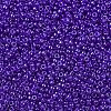 MIYUKI Round Rocailles Beads SEED-G007-RR0176-3