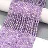 Natural Amethyst Beads Strands G-C127-A03-04-2