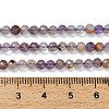 Natural Purple Phantom Quartz Purple Lodolite Quartz Beads Strands G-C262-A01-4mm-5