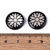 Acrylic & Natural Freshwater Shell Cabochons OACR-N164-06-3
