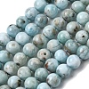 Natural Larimar Beads Strands G-B156-A01-6mm-2