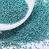 MIYUKI Delica Beads SEED-X0054-DB0427-1