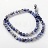 Natural Sodalite Beads Strand GSR8mmC013-3