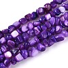 Natural Freshwater Shell Beads Strands SHEL-N037-04H-1