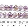 Natural Round Purple Lodolite Quartz/Purple Phantom Quartz Beads Strands G-R011-A01-02-5