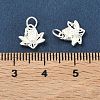 925 Sterling Silver Charms STER-A050-04C-S-3