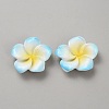 Two Tone Resin Cabochons LS-RESI-WH20010-01E-1
