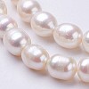 Natural Cultured Freshwater Pearl Beads Strands PEAR-P002-24-3