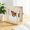 1Pc Wood Storage Display Cases CON-GA0001-42-4