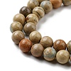 Natural Aqua Terra Jasper Beads Strands G-E444-14B-12mm-3