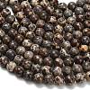 Natural Astroite Jasper Beads Strands G-H329-C02-8mm-4
