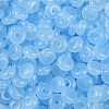 Transparent Colours Glass Seed Beads SEED-P008-01B-02-2