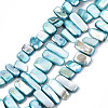 Natural Freshwater Shell Beads Strands X-SHEL-N026-123F-1