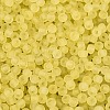 FGB Frosted Transparent Glass Seed Beads SEED-N013-02A-02-3