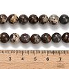 Natural Astroite Jasper Beads Strands G-H329-C02-8mm-5