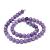 Natural Lepidolite/Purple Mica Stone Beads Strands G-O201A-05B-2