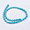 Synthetic Turquoise Beads Strands G-E474-02A-12x16m-2