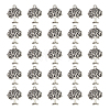 Tibetan Style Alloy Pendants FIND-DC0006-12C-1