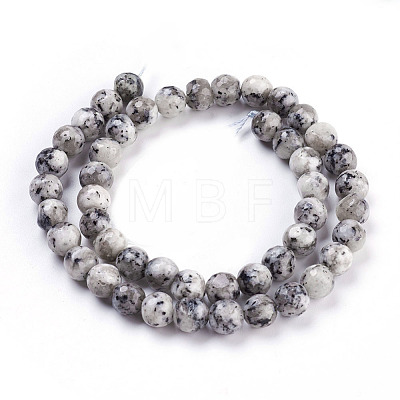 Faceted Round Natural Agate Beads Strands G-S133-07-1