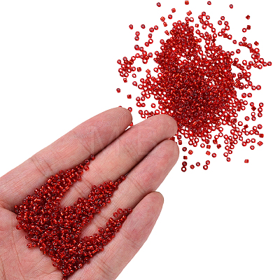 3000Pcs Glass Seed Beads SEED-PA0001-29A-01-1